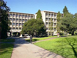 University of California- Berkeley